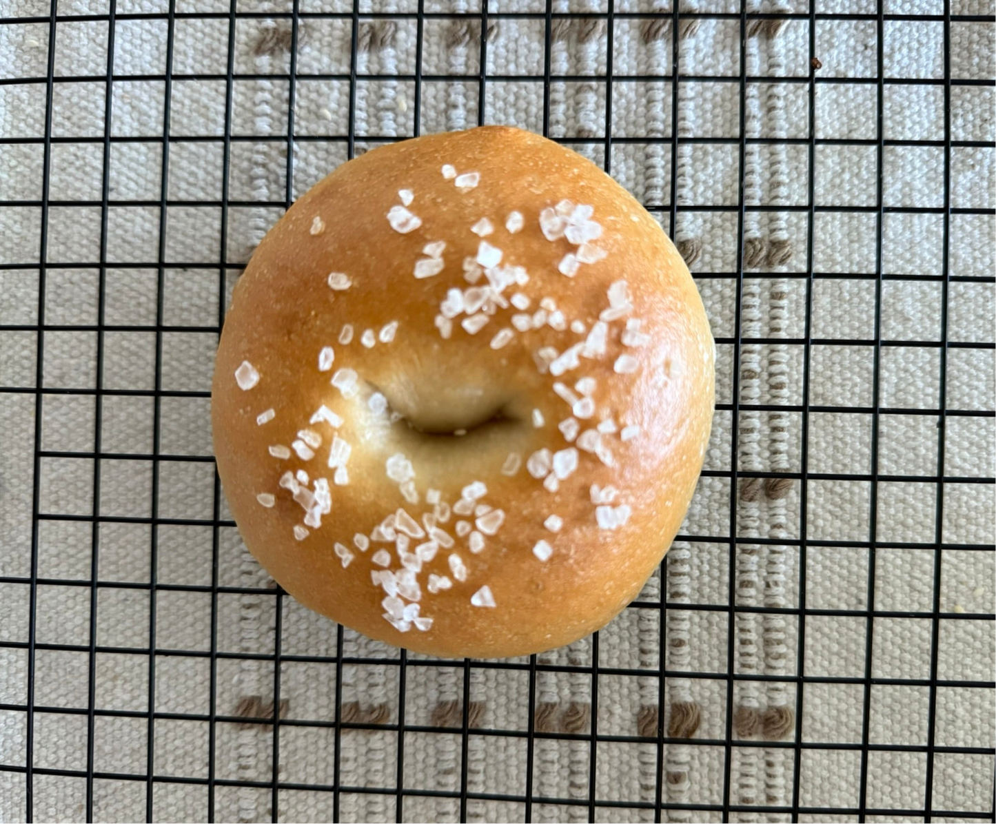 ORGANIC SOURDOUGH BAGELS ( Pack of 6)