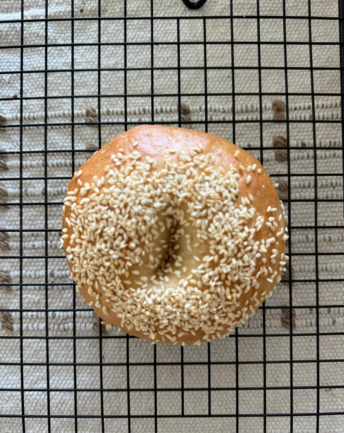 ORGANIC SOURDOUGH BAGELS ( Pack of 6)