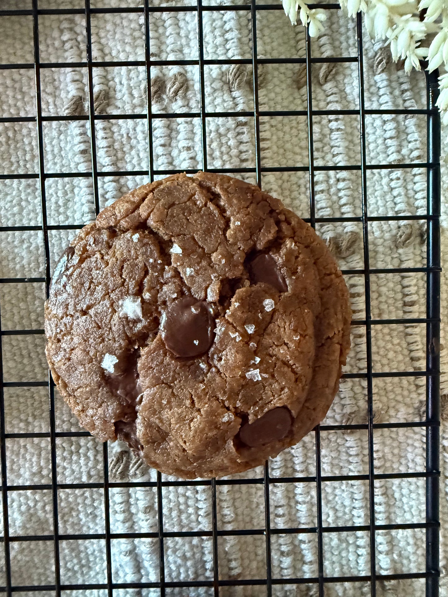 ORGANIC, GLUTEN-FREE & VEGAN CHOCOLATE CHIP COOKIES- Pack of 4