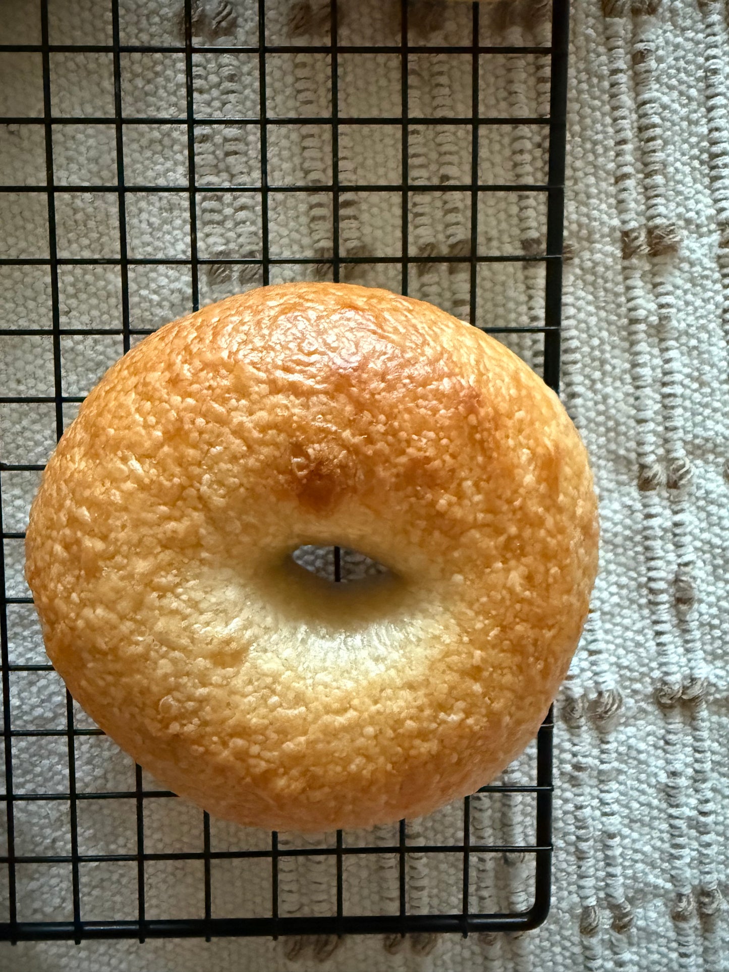 ORGANIC SOURDOUGH BAGELS - PACK OF 4